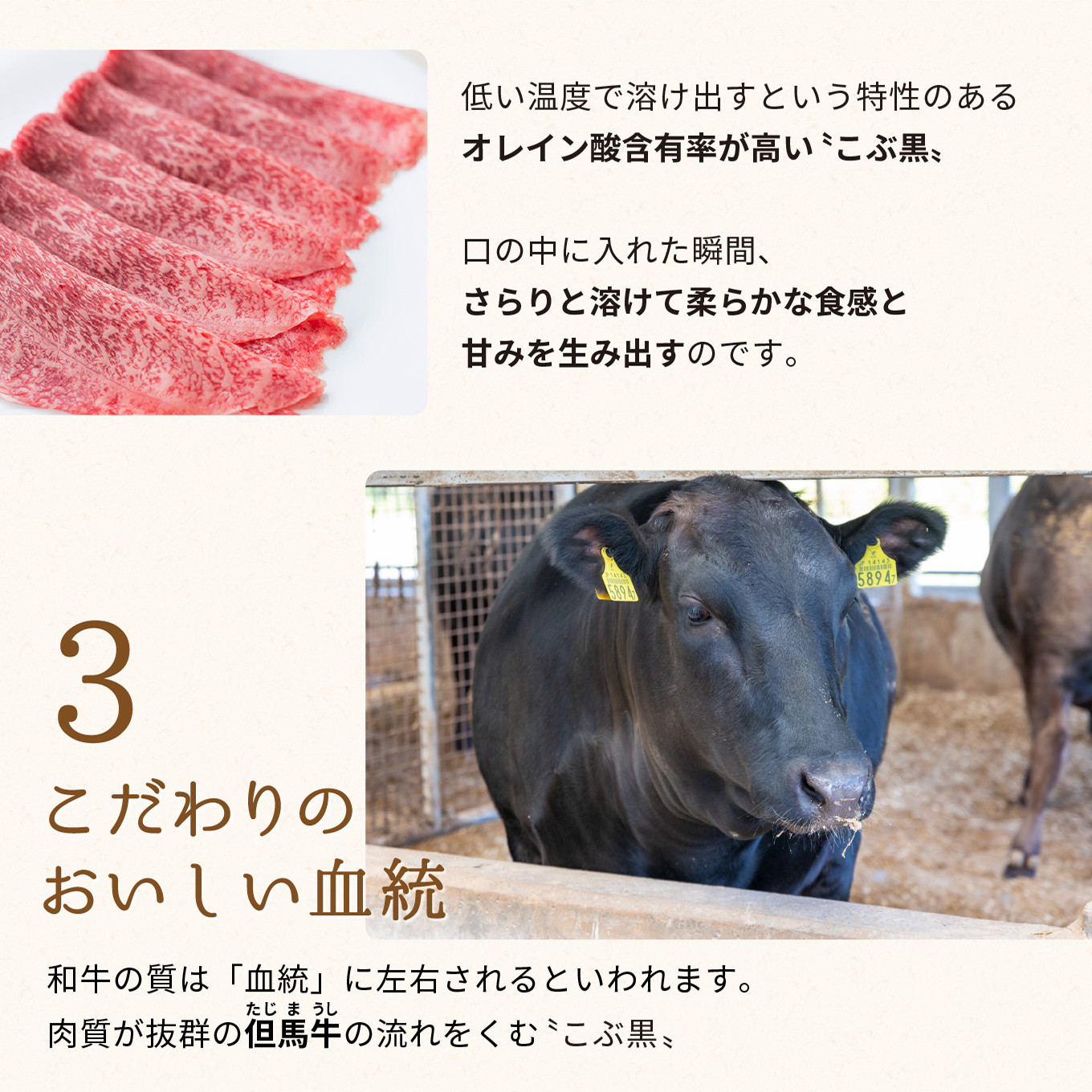 石黒氏は会長に 北海道産 黒毛和牛 こぶ黒 A5 ステーキ モモ 1.5kg
