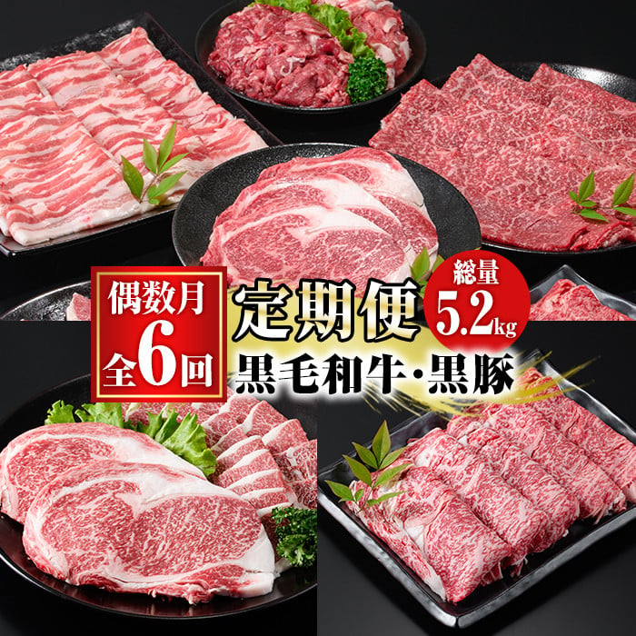 定期便・全6回(偶数月)＞鹿児島県産黒毛和牛・黒豚定期便(総量約5.2kg ...