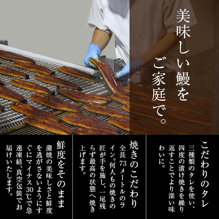 熟練の技が冴える！うなぎの柳澤 鰻蒲焼き3尾(計510g) b2-016