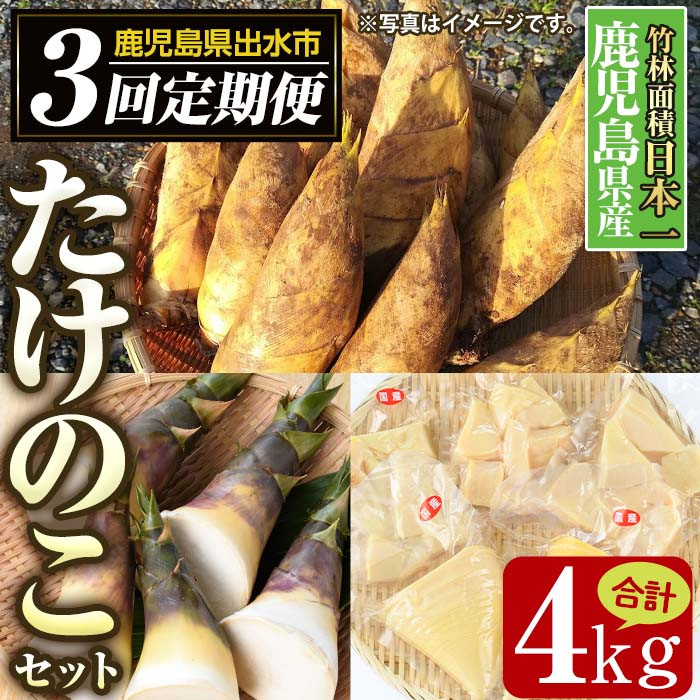 鹿児島県産 生たけのこ 4Kg - 野菜