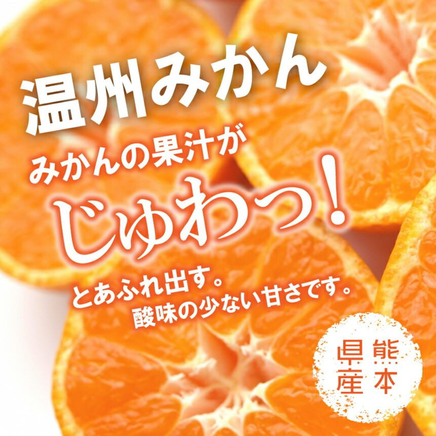 AO4 <先行予約>【訳あり】期間限定 温州みかん 和水町産 ご家庭用 10kg - 和水町和水町 | ふるさと納税 [ふるさとチョイス]