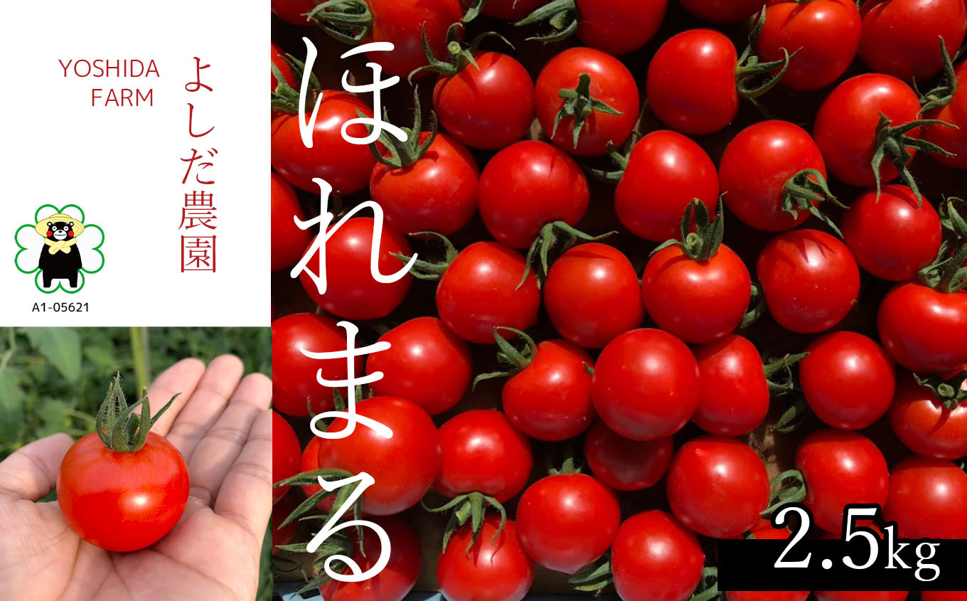 約2.5kg　よしだ農園　熊本県玉名市｜ふるさとチョイス　ふるさと納税サイト　ミニトマト　『ほれまる』