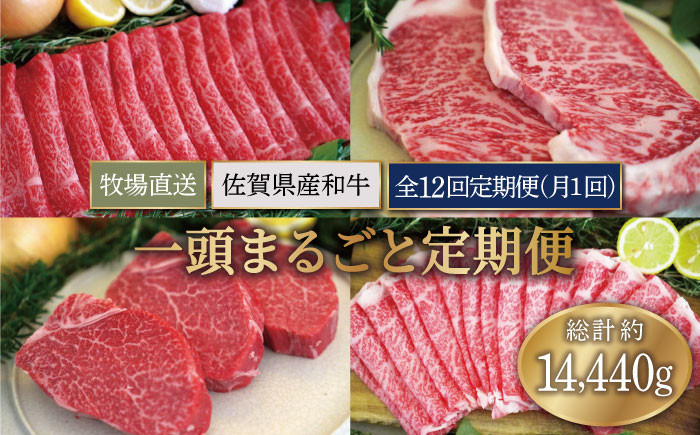 ふるさと納税 くまもとあか牛 ステーキ 食べ比べ 定期便 計4.8kg 熊本県合志市