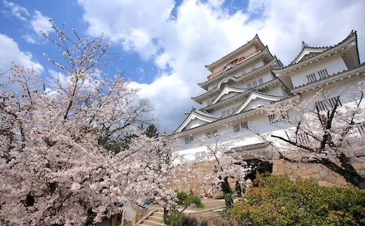 福山城｜築城400年を迎える徳川家ゆかりの城