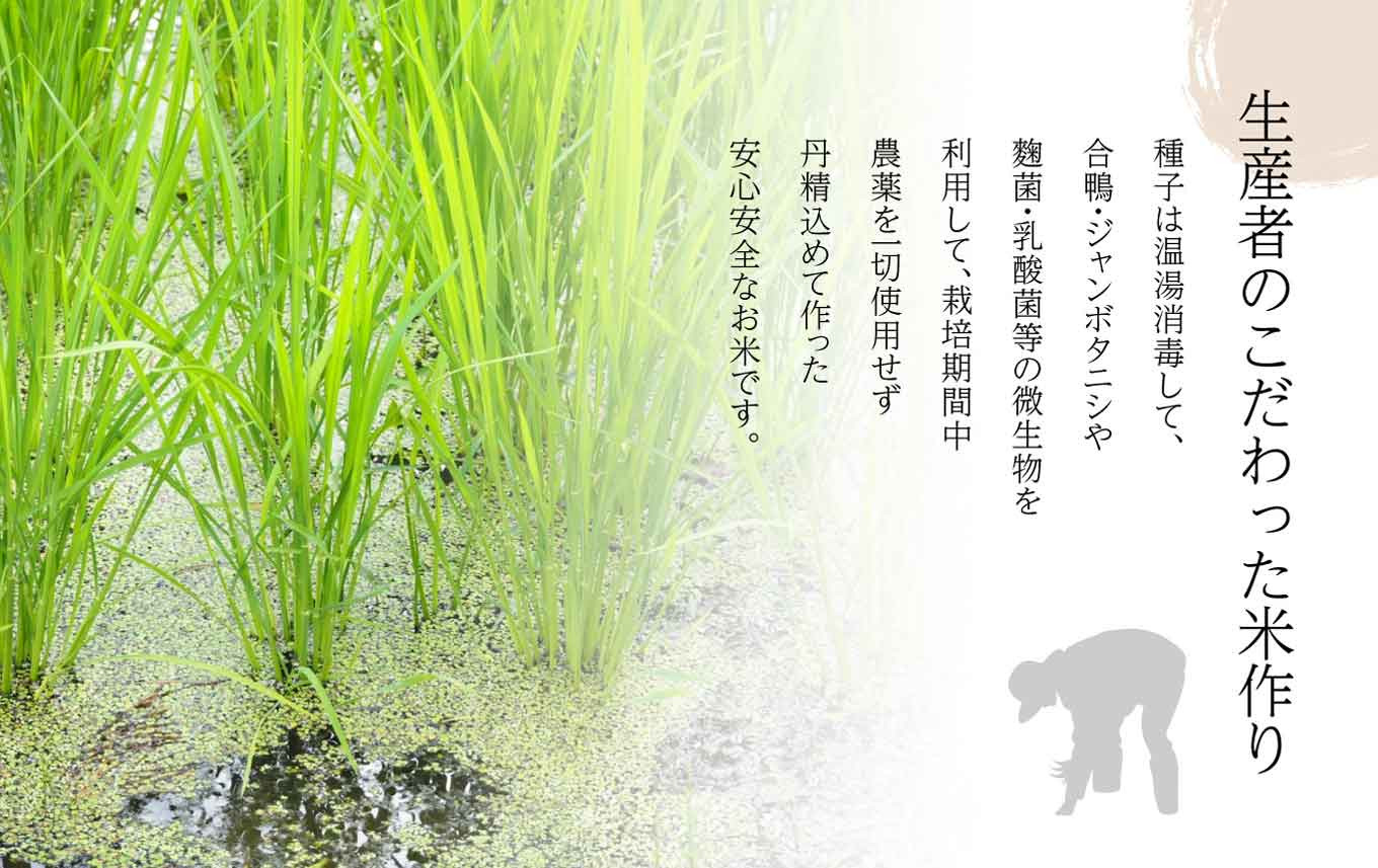 AP 栽培期間中農薬を一切使用していないお米 4kg(2kg×2) 熊本県和水町｜ふるさとチョイス ふるさと納税サイト