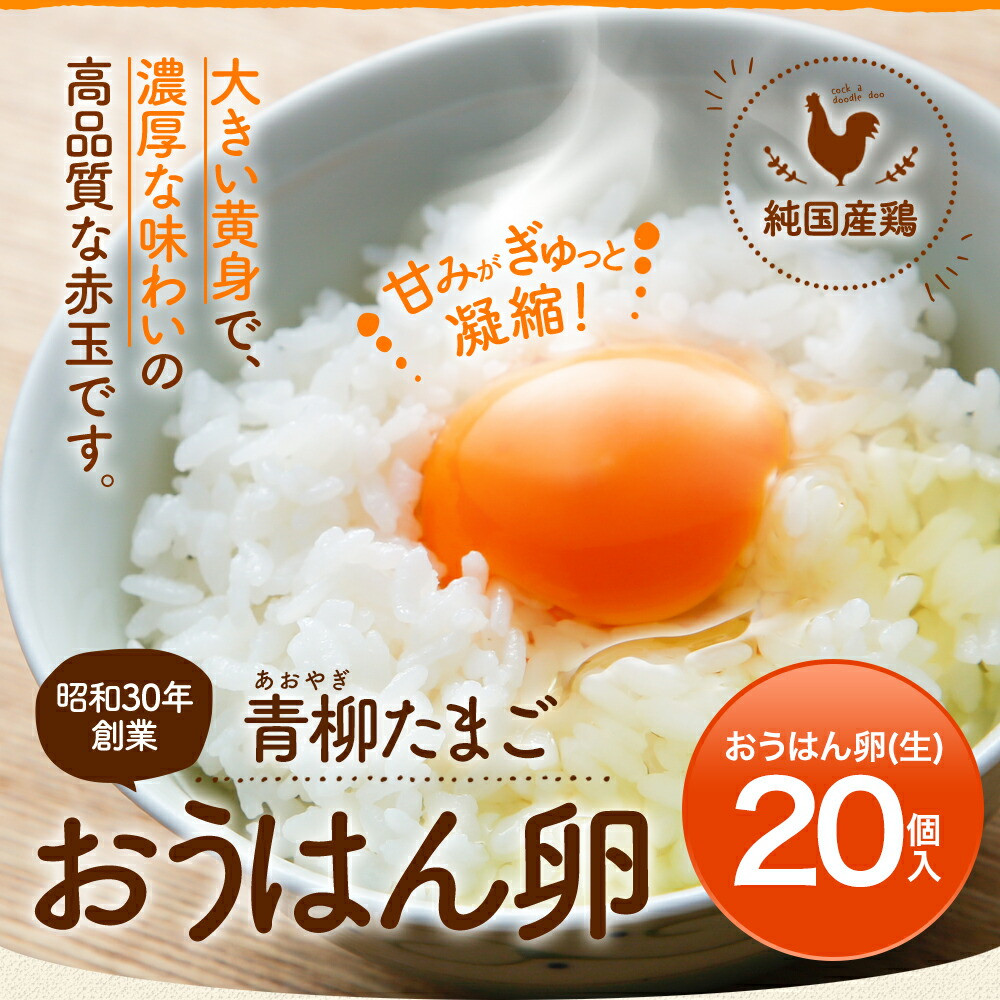 純国産鶏の卵 おうはん卵 20個入り - 福岡県古賀市｜ふるさとチョイス - ふるさと納税サイト