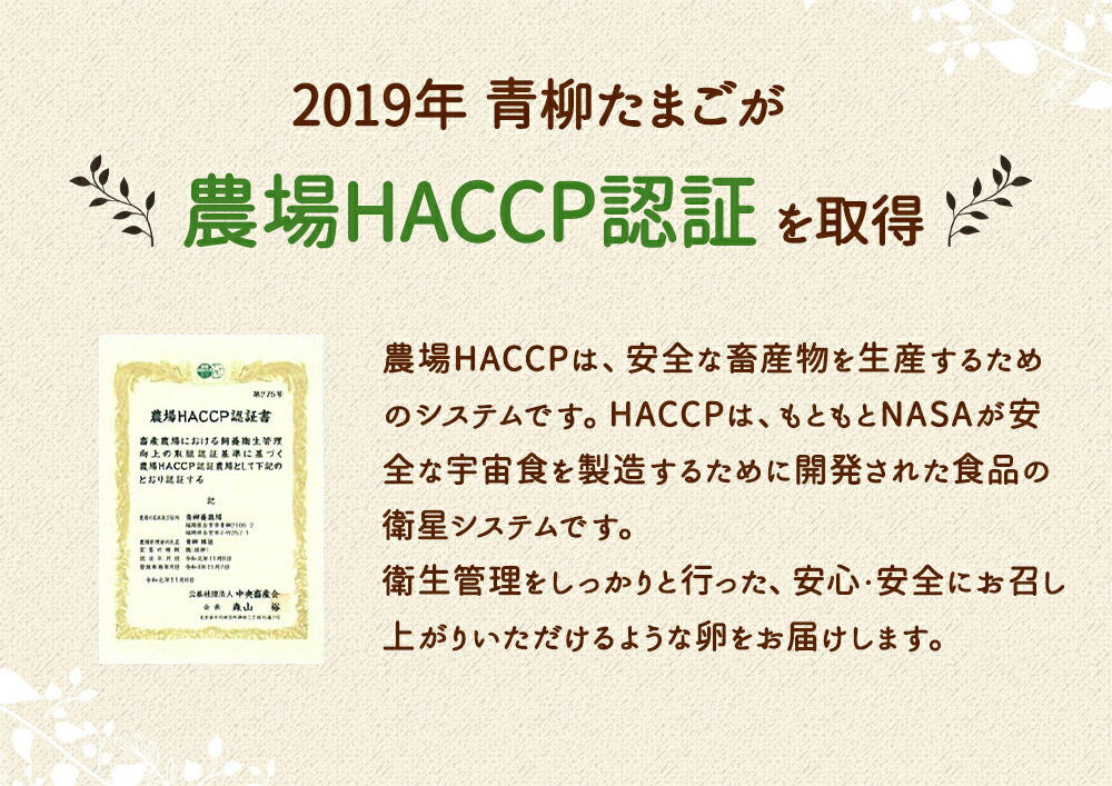 純国産鶏の卵 おうはん卵 20個入り - 福岡県古賀市｜ふるさとチョイス - ふるさと納税サイト