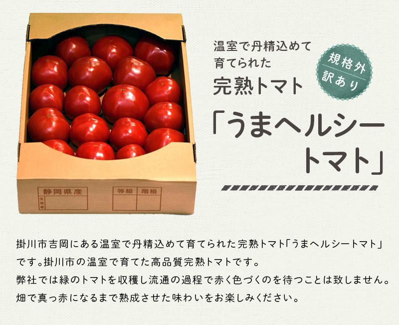 掛川市で育てた桃太郎トマトです！