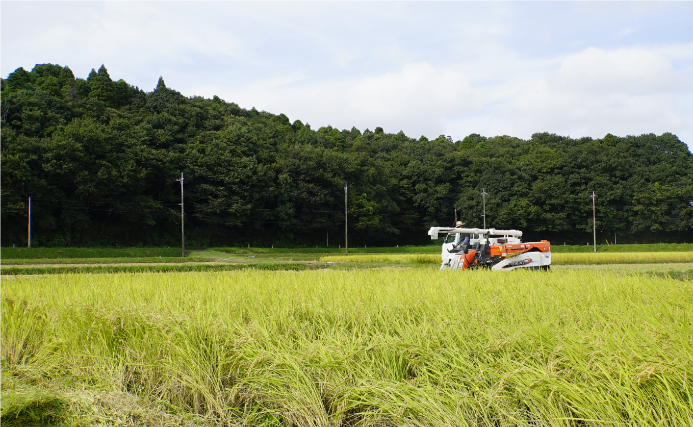 酒々井町に広がる豊かな田園風景