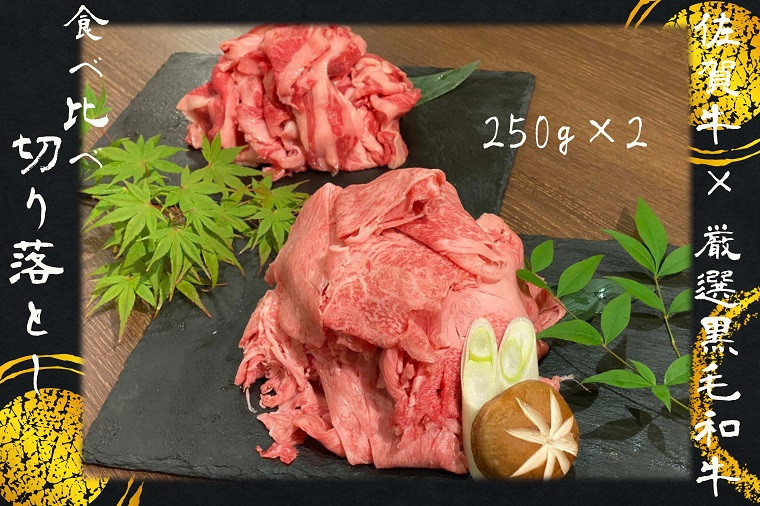 DX027 佐賀牛×厳選黒毛和牛 切り落とし食べ比べ250ｇ×2 - みやき町みやき町 | ふるさと納税 [ふるさとチョイス]