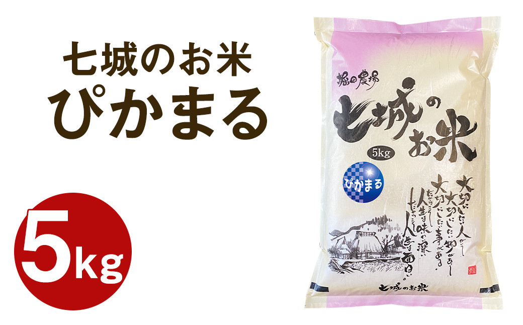 熊本県産 七城のお米 ぴかまる 5kg 米 白米 精米