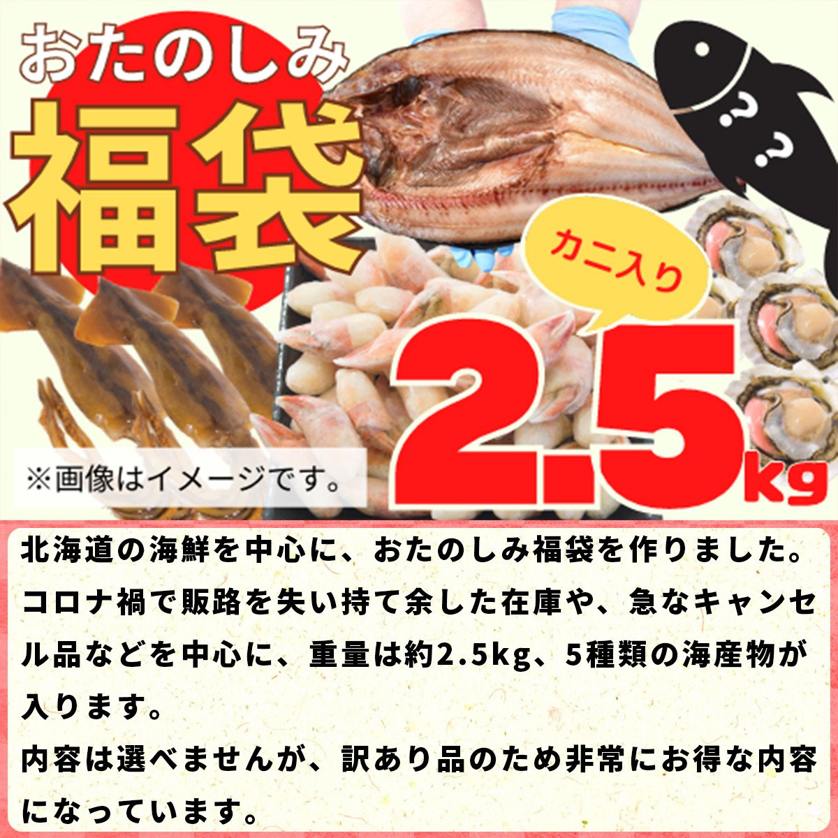 蟹 かに 入り 北海道の海鮮 おたのしみ福袋 訳あり 冷凍 5種 約2 5kg 北海道鹿部町 ふるさと納税 ふるさとチョイス