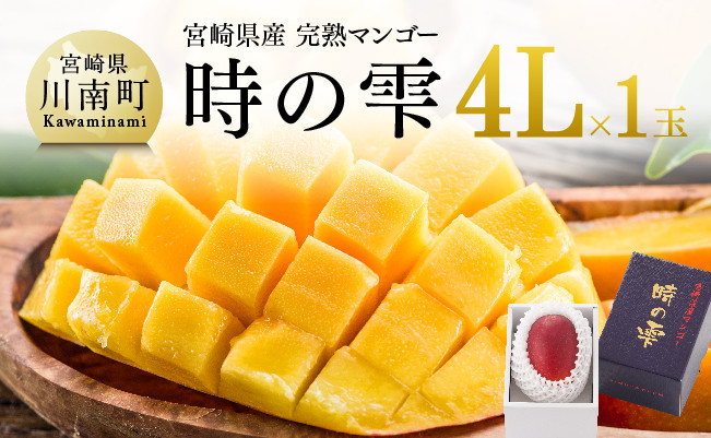 令和６年産 宮崎県産完熟マンゴー「時の雫」４L×１玉【 果物 フルーツ