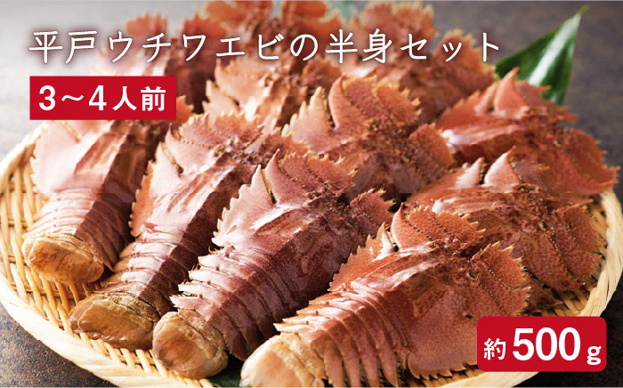 朝から贅沢なお味噌汁を 平戸ウチワエビの半身セット 約500g 5 8切 ひばり Kaa062 長崎県平戸市 ふるさと納税 ふるさとチョイス