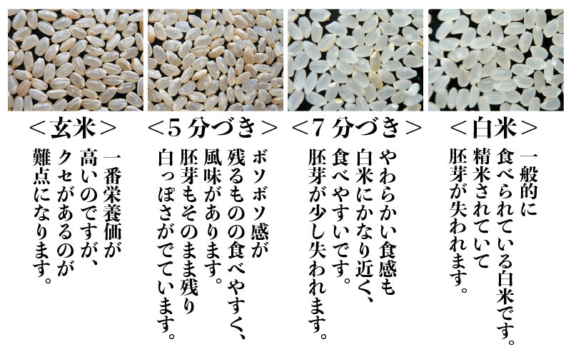 【令和5年産】あきさかり 5kg～坂井市三国町産・こだわりの精米対応～（5分づき) [A-0212_03] - 福井県坂井市｜ふるさとチョイス -  ふるさと納税サイト