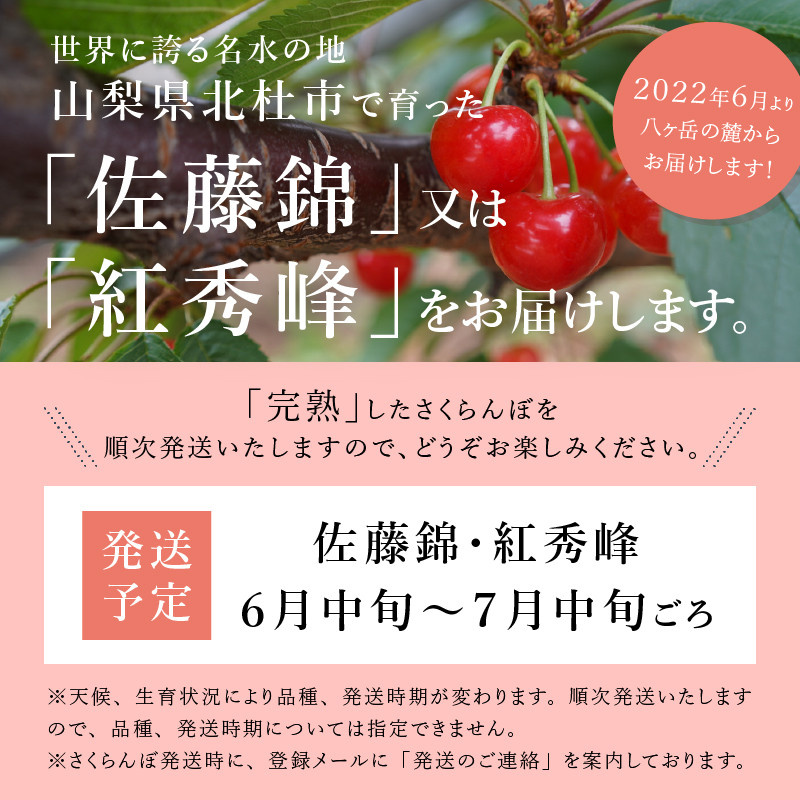 22年先行予約 山梨県産 完熟大玉 さくらんぼ 2lバラ約400ｇ 山梨県北杜市 ふるさと納税 ふるさとチョイス