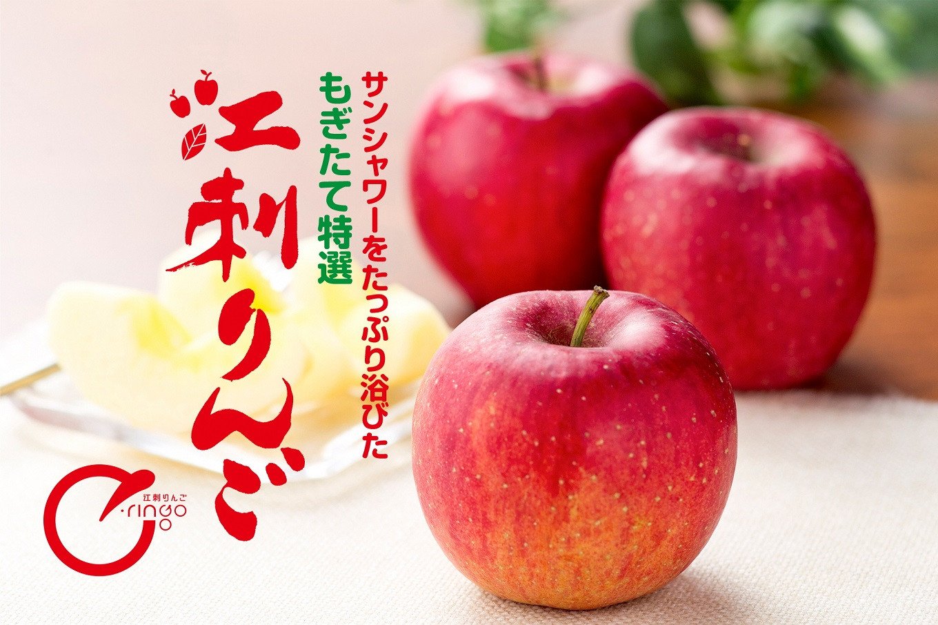 江刺りんご サンふじ3kg（8～10玉）【300個限定・11月30日までの受付 