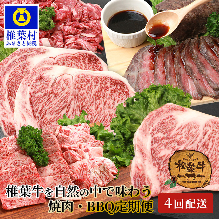 【定期便4回】総重量2.4kg！椎葉牛 大自然の中で味わう焼肉・BBQ定期便≪焼き肉・ステーキ・切り落とし・ローストビーフ≫【A5等級指定  黒毛和牛】A5ランク a5 A5【日本三大秘境 椎葉村 育ちの黒毛和牛】