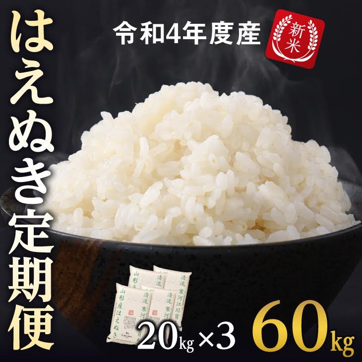 無洗米　酒田市　SA　2kg×6回(計12kg)　SC0304　特別栽培米つや姫　山形県　ふるさと納税　価格比較