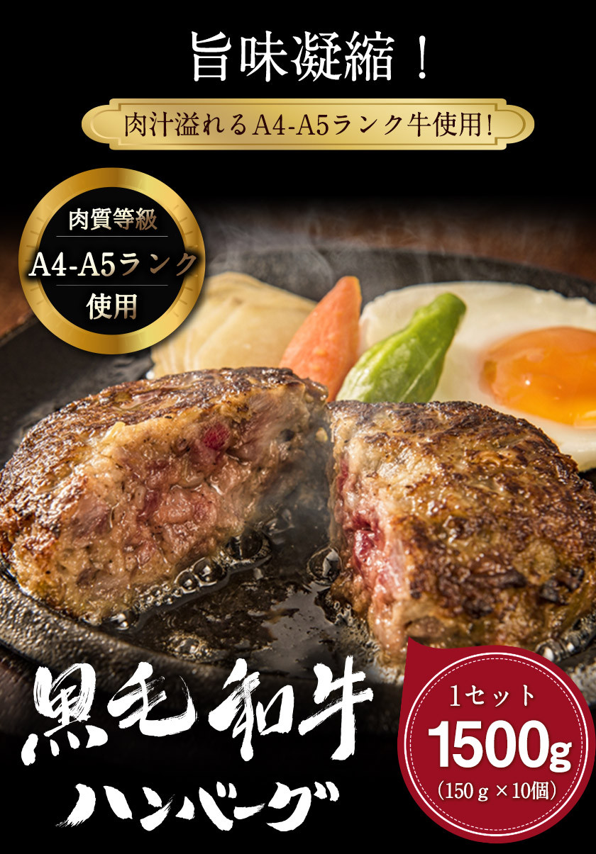 黒毛和牛ハンバーグ150g×10個 絶品 ブランド牛 黒毛和種 有限会社トップルーフ《60日以内に順次出荷(土日祝除く)》