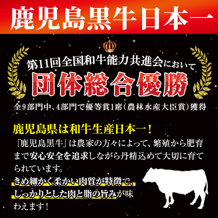 鹿児島県産黒牛・黒豚使用 カレーセット(2種・計4個)【JA鹿児島いずみ