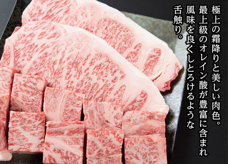 鳥取牛肩ロース焼肉用　鳥取県鳥取市　400g　ふるさと納税　価格比較