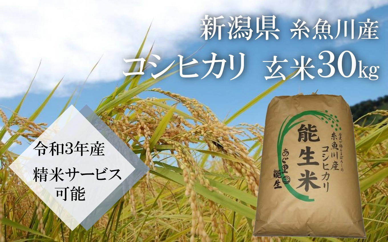 1件の農家さん生産 令和3年生産 コシヒカリ玄米30kg メイルオーダー