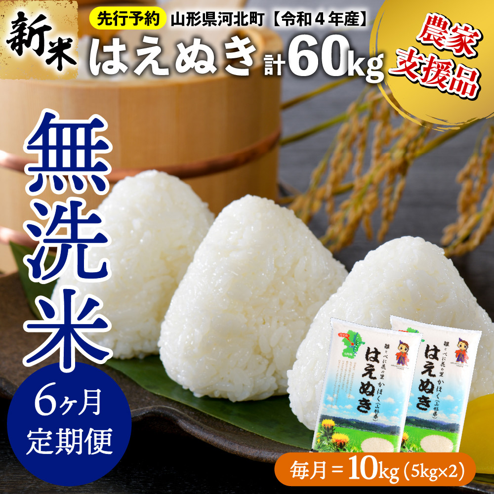 配送時期が選べる 令和4年産 鮭川村 10kg×6回お届け 定期便 つや姫 60kg 特別栽培米