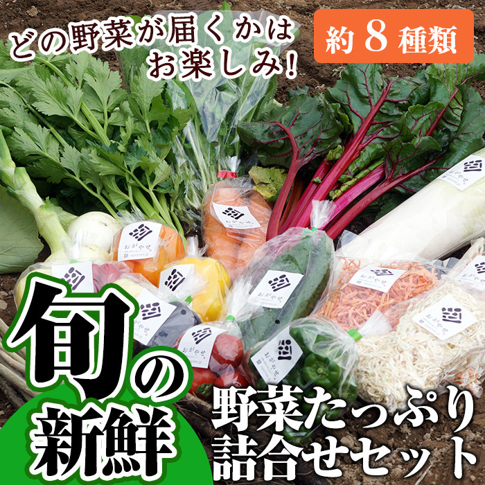 AP-AB1 ＜串間市産＞「おがやせ」旬の新鮮野菜たっぷり詰合せセット