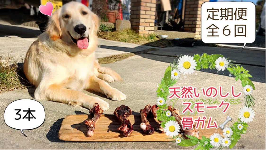 FB053 大型犬向け☆天然いのししのスモーク骨ガム3本【定期便】全6回