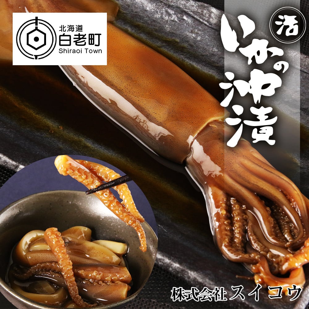 市場 ふるさと納税 真いか沖造り3尾セット 秋元水産 イカ いか 老舗の味