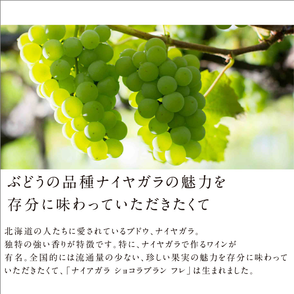 ふるさと納税 小樽市 ルタオ大人気のチョコレート3種セット 【返品?交換対象商品】 ルタオ大人気のチョコレート3種セット