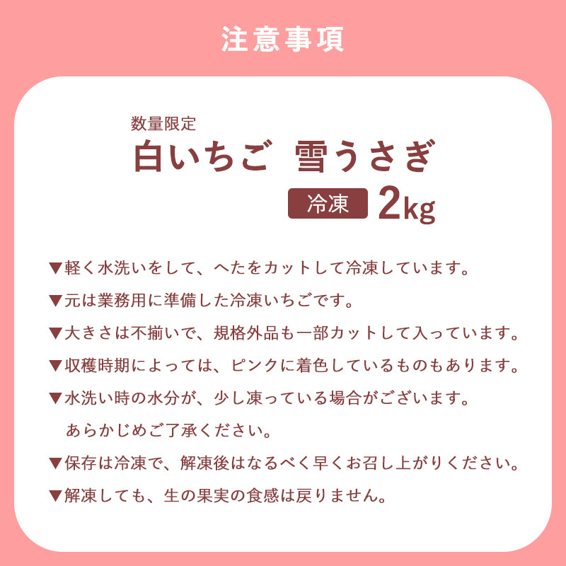 数量限定 白いちご 雪うさぎ 冷凍 2kg (佐賀県唐津市産) 「2022年 令和4年」 - 佐賀県唐津市｜ふるさとチョイス - ふるさと納税サイト