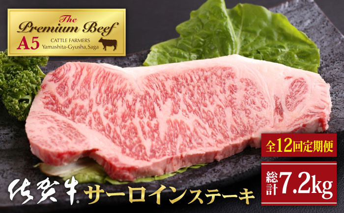 霜降り A5ランク】＜全12回定期便＞佐賀牛 サーロイン ステーキ 600g（300g×2枚）【山下牛舎】黒毛和牛 ロース [HAD068] -  江北町江北町 | ふるさと納税 [ふるさとチョイス]