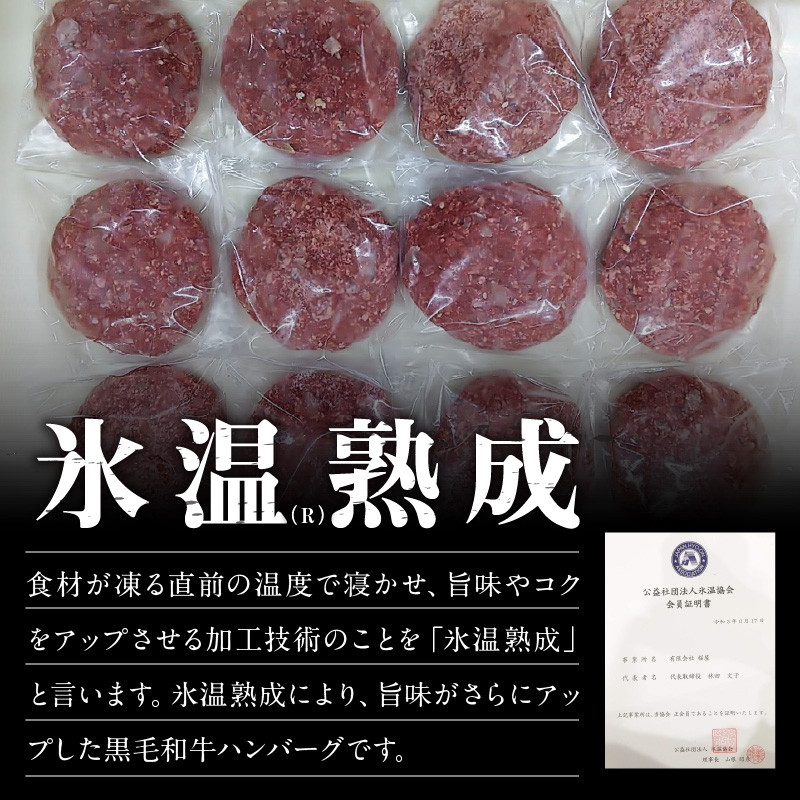 ふるさと納税 宇土市 氷温 R 熟成 黒毛和牛ハンバーグ150g×12個 超高品質で人気の