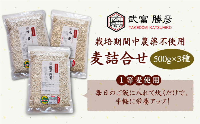 ふるさと納税 栽培期間中農薬不使用 全6回定期便 麦詰合500g 3 押麦 胚芽押麦 丸麦 葦農 HAJ032 Shinsaku Nyuuka -  セット・詰め合わせ - padelnostro.it