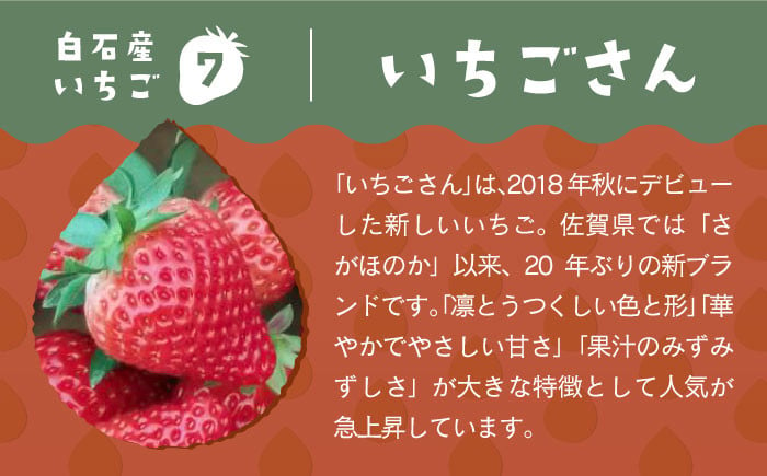 先行予約】【産地直送】白石産いちご「いちごさん」 約150g×6パック（計900g以上）【道の駅しろいしカンパニー】 [IAA022] - 佐賀県白石 町｜ふるさとチョイス - ふるさと納税サイト