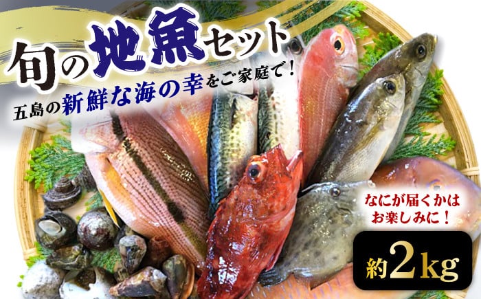 旬の地魚セット 2kg 五島市/五島FF PBJ010 - 長崎県五島市｜ふるさとチョイス - ふるさと納税サイト