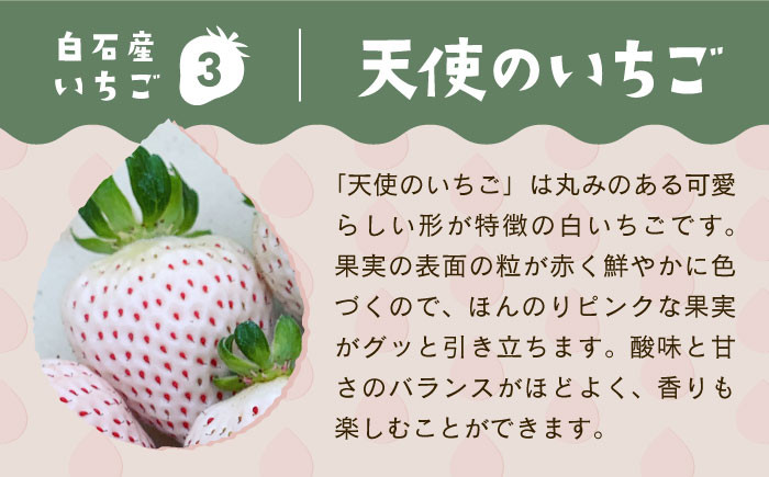 先行予約】【農家直送】味のバランスのよい希少な白いちご「天使のいちご」220g×2パック【ひかるのうえん】 [IBI001] - 佐賀県白石町｜ふるさとチョイス  - ふるさと納税サイト