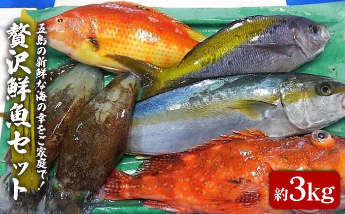 ふるさと納税 対馬 活〆 島魚 セット 1.5kg《対馬市》九州 長崎 鮮魚