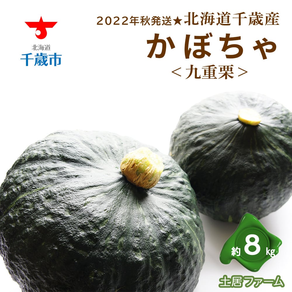 市場 ふるさと納税 こだわり 限定 ミシュランシェフ特注 直送 かぼちゃ