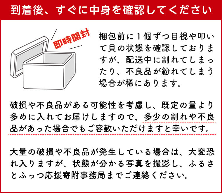 漁師直送！活ホンビノス貝2.5kg - 富津市富津市 | ふるさと納税 [ふるさとチョイス]