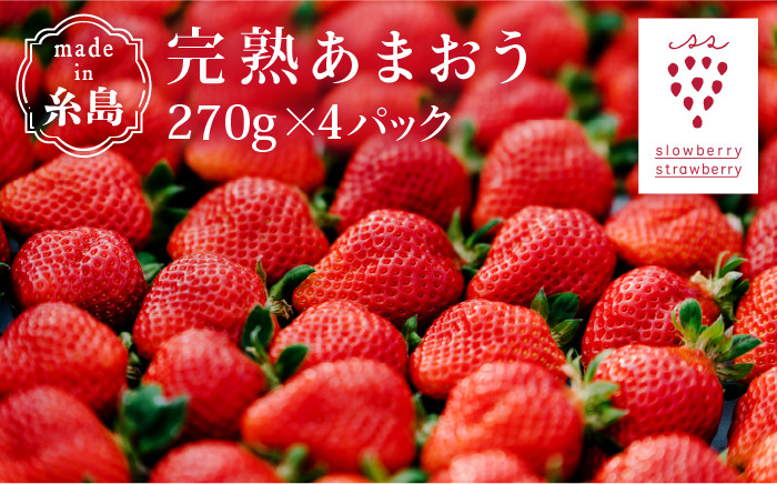 完熟 あまおう 270g × 4パック 苺 いちご 《糸島》【slowberry strawberry】 [APJ001] - 福岡県糸島市｜ふるさとチョイス  - ふるさと納税サイト