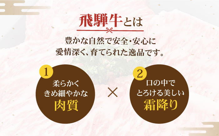 ボリューム満点！高級A5ランク＞飛騨牛 サーロイン ステーキ 300～400g×2枚【有限会社マルゴー】霜降り 和牛 国産 [MBE020]  岐阜県土岐市｜ふるさとチョイス ふるさと納税サイト