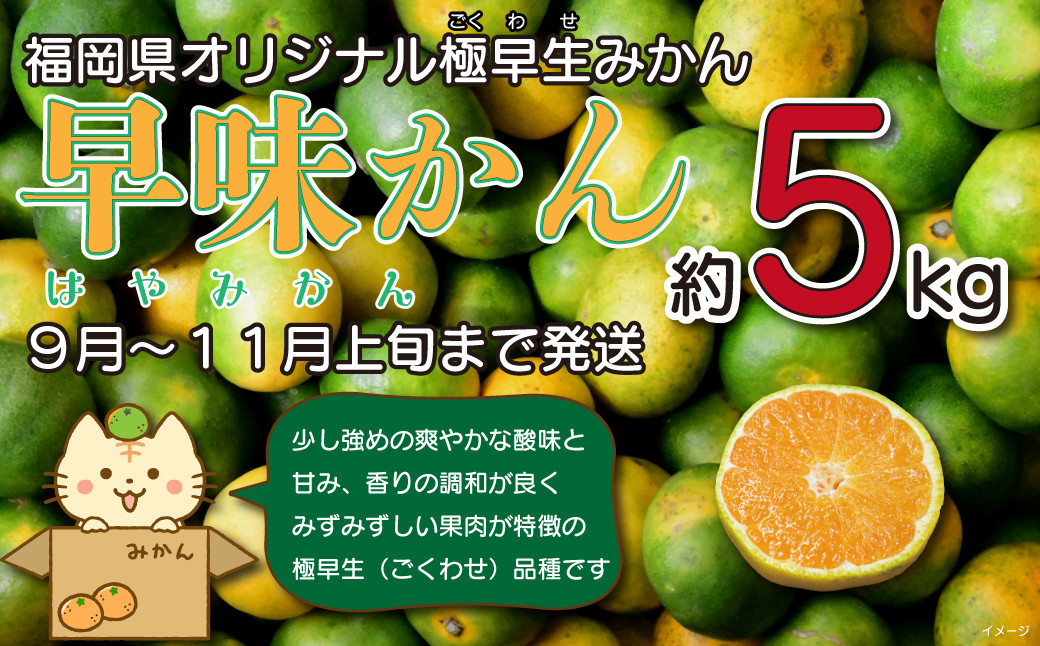 2022年9月～11月上旬まで発送】 産地直送！福岡県オリジナル品種 極