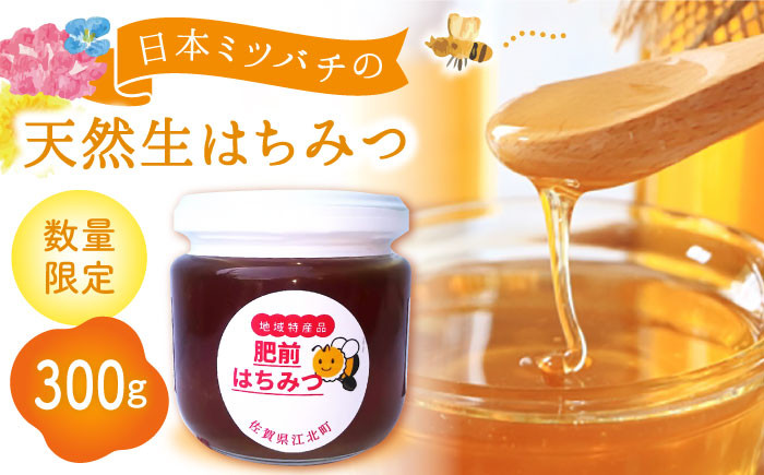 数量限定！希少！日本ミツバチの蜂蜜
