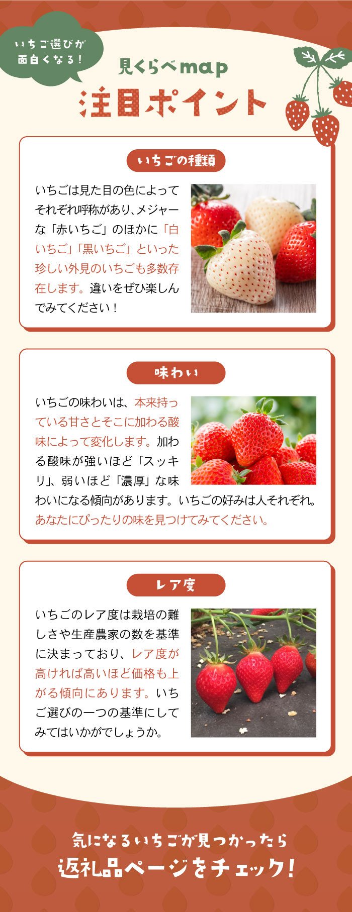 先行予約】【農家直送】いちごさん（化粧箱入り400g）【StrawberryFarm-K】 [IBJ002] - 佐賀県白石町｜ふるさとチョイス -  ふるさと納税サイト