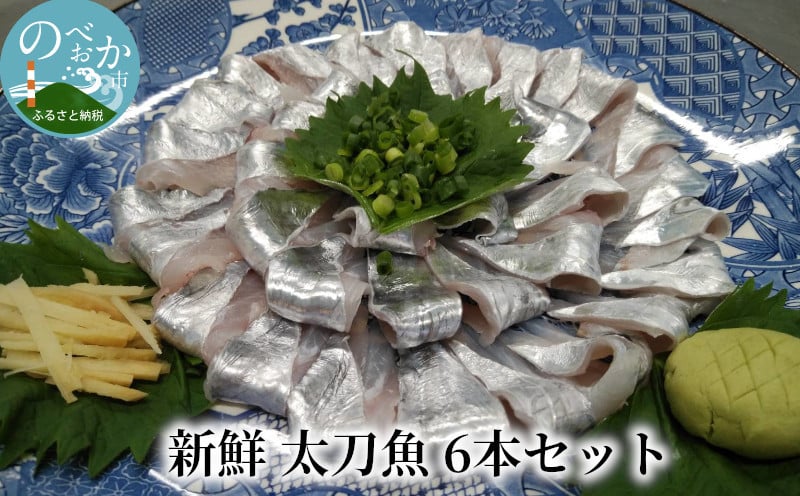新鮮 太刀魚 6本セット A0110 宮崎県延岡市 ふるさと納税 ふるさとチョイス
