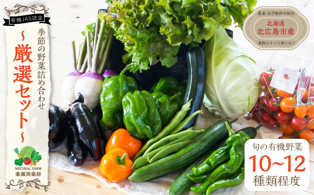 有機JAS認定】季節の野菜 詰め合わせ 10種類～12種類程度 有機野菜
