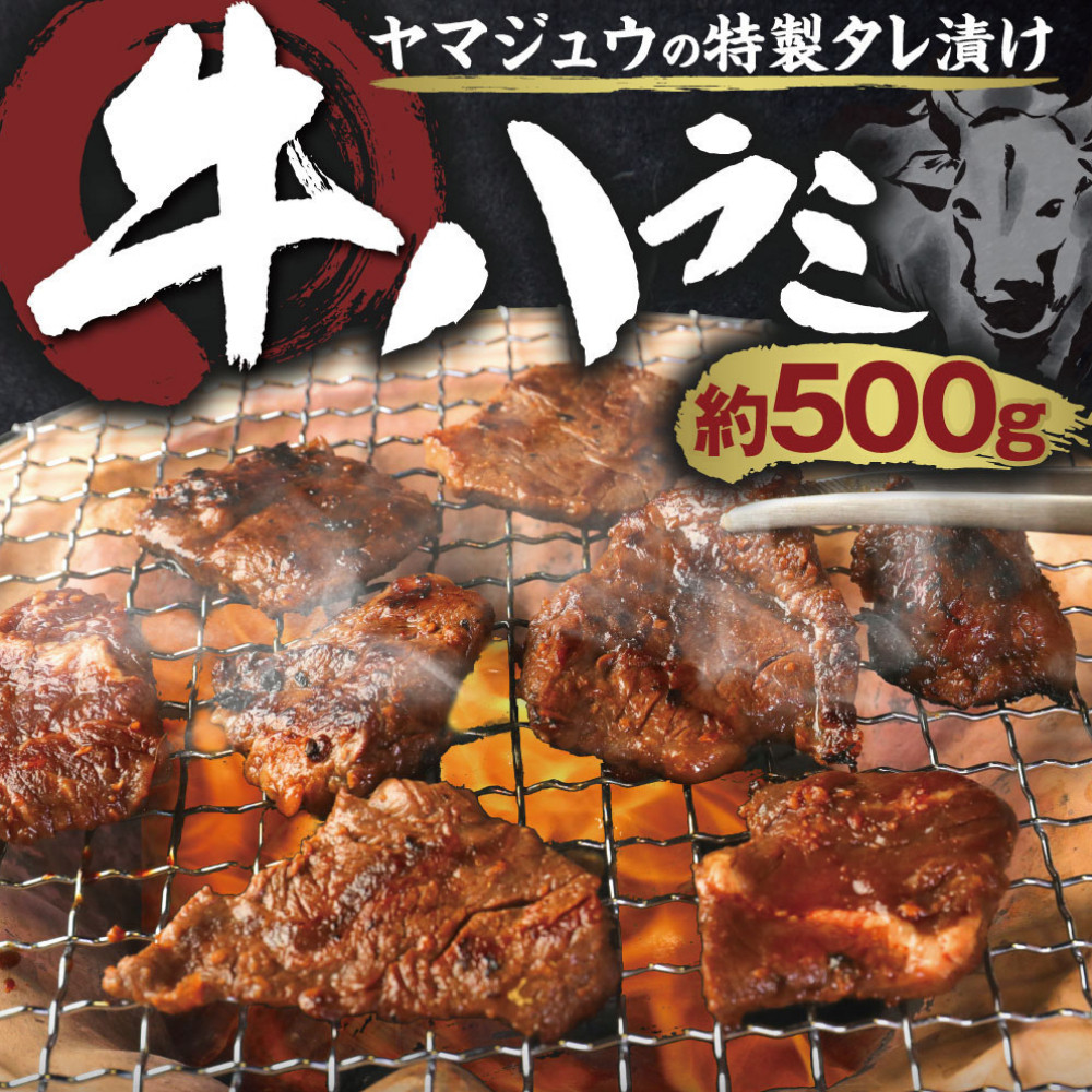 ヤマジュウの特製タレ漬け！牛ハラミ肉５００ｇ【３回定期便】